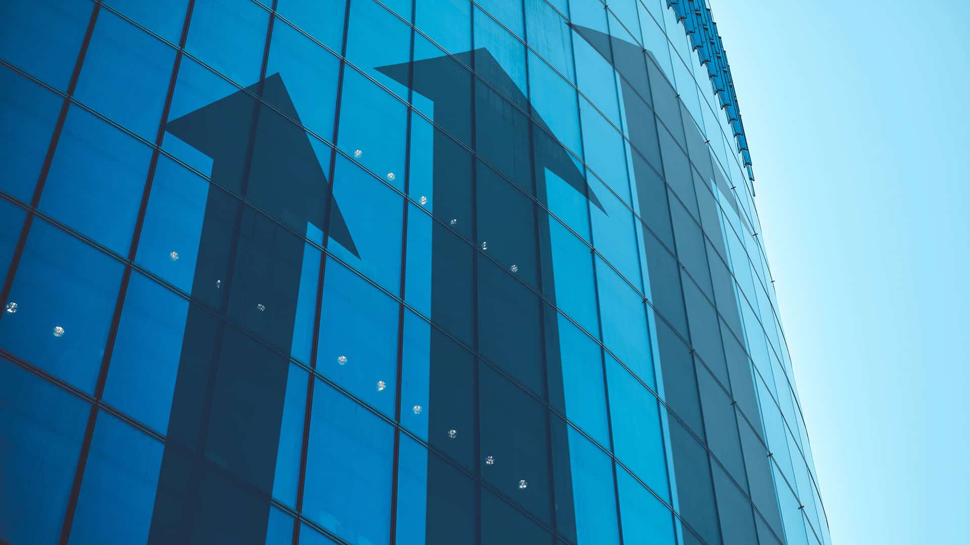 Partner Growth Polarization 51.5% Expect Strong Gains